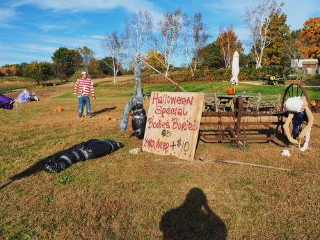 Springdell farms pumpkin decorating contest #11