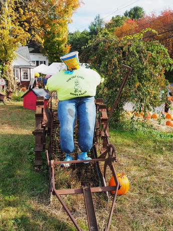 Springdell farms pumpkin decorating contest #12