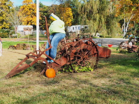 Springdell farms pumpkin decorating contest #13