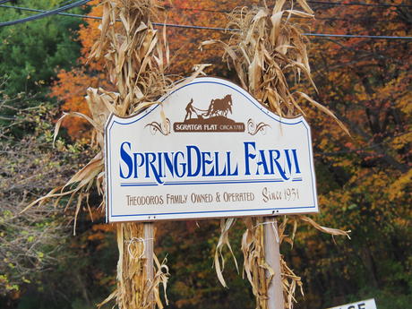 Springdell farms