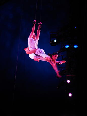 Aerialists #4