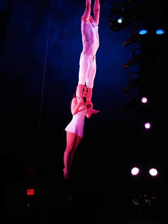 Aerialists #5