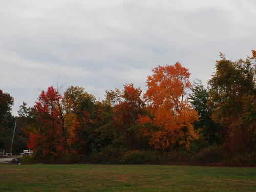 Fall in Littleton, Massachusetts