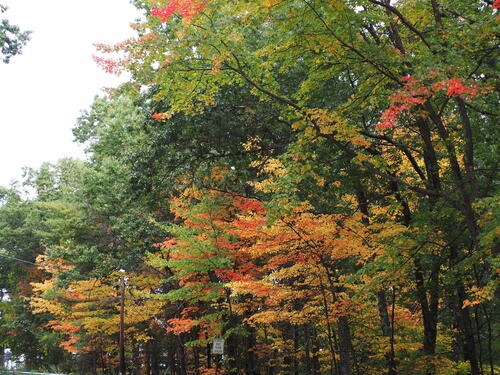 Fall in Littleton, Massachusetts #6