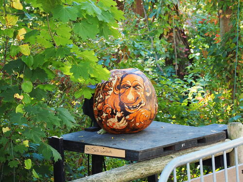 Jack and the Beanstalk pumpkin