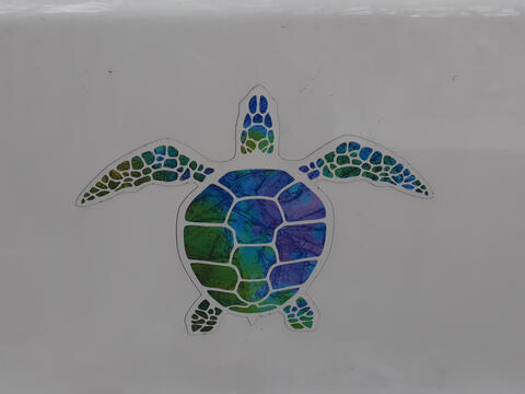 Turtle decal on Liz's old van