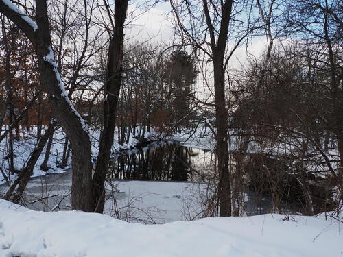 Ayer, MA winter pond