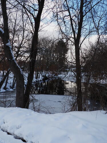 Ayer, MA winter pond #2