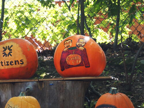 Pumpkins at Roger Williams Zoo