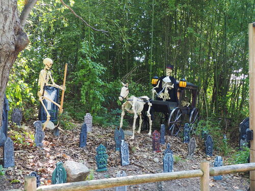 Skeletons at Roger Williams Zoo #3
