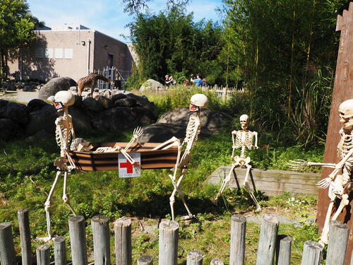 Skeletons at Roger Williams Zoo #8