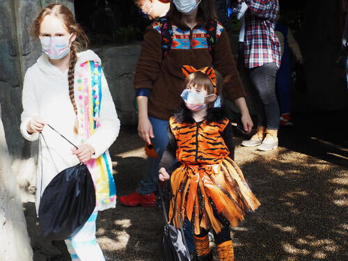 Trick or treat at Roger Williams Zoo #10