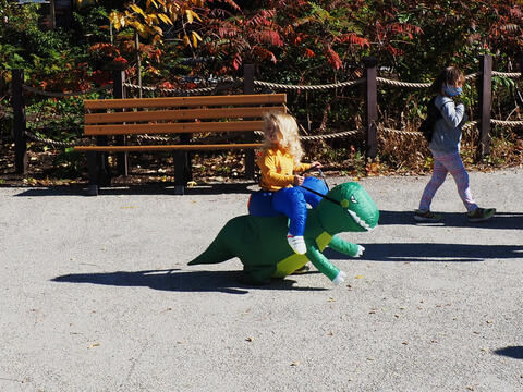 Trick or treat at Roger Williams Zoo #12