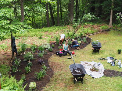 Garden improvements by Ladyslipper Landscaping #3