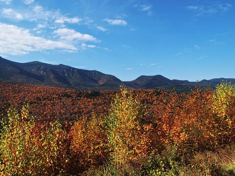 Fall colors at the Kancamagus Scenic Byway #3