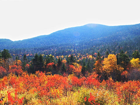 Fall colors at the Kancamagus Scenic Byway #6