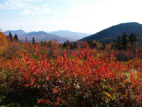 Fall colors at the Kancamagus Scenic Byway #7