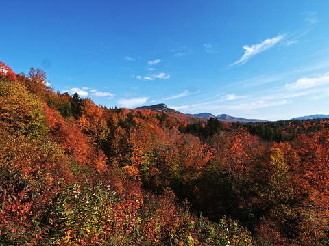 Fall colors at the Kancamagus Scenic Byway #8