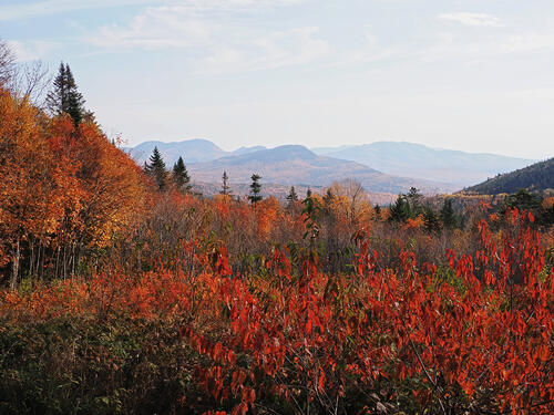 Fall colors at the Kancamagus Scenic Byway #11
