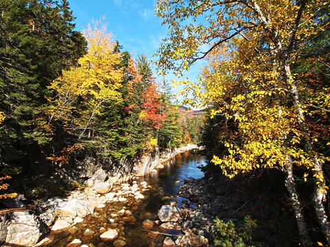 Fall colors at the Kancamagus Scenic Byway #14