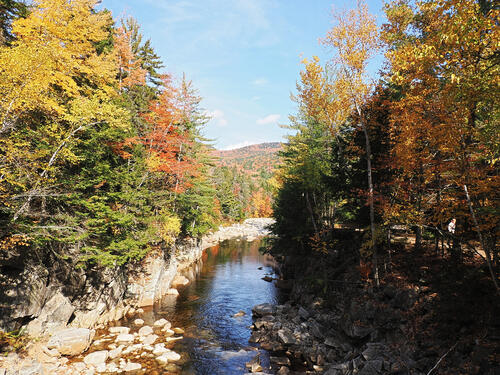 Fall colors at the Kancamagus Scenic Byway #22