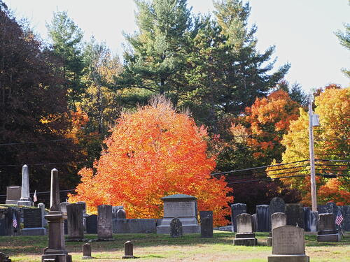 Fall in the West Parish Garden Cemetary #10