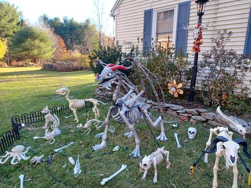 Russell Hannula's Halloween decorations #3
