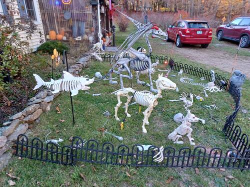 Russell Hannula's Halloween decorations #11