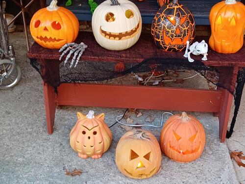 Russell Hannula's Halloween decorations #20