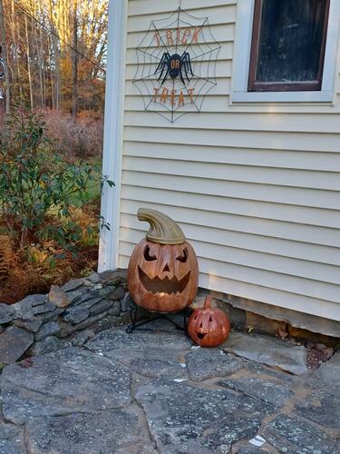 Russell Hannula's Halloween decorations #28