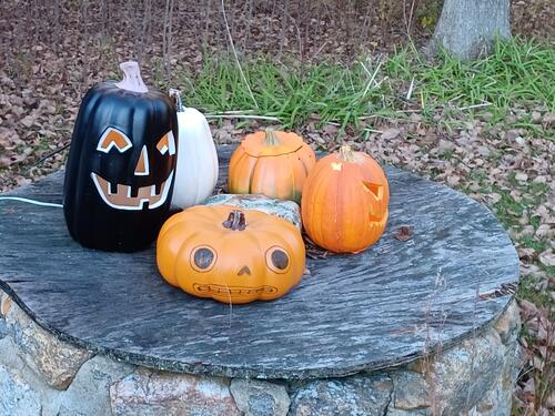 Russell Hannula's Halloween decorations #31