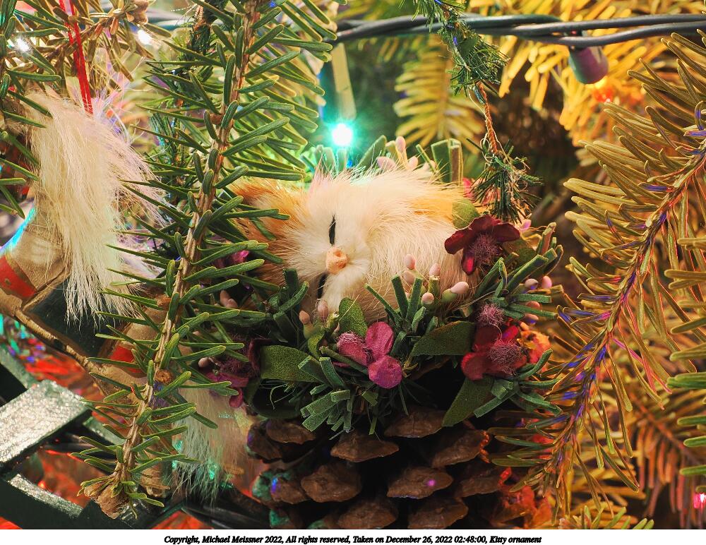 Kitty ornament