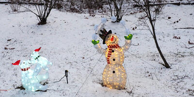 Polar bears and juggling snowman