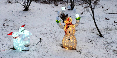 Polar bears and juggling snowman #2