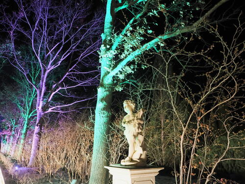 Tower Hill Botanic Garden Night Lights #10