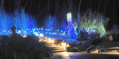 Tower Hill Botanic Garden Night Lights #14