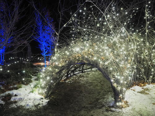 Tower Hill Botanic Garden Night Lights #18