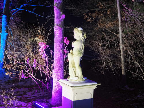 Tower Hill Botanic Garden Night Lights #22