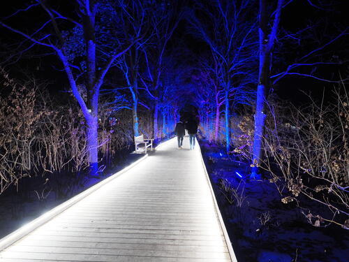 Tower Hill Botanic Garden Night Lights #23