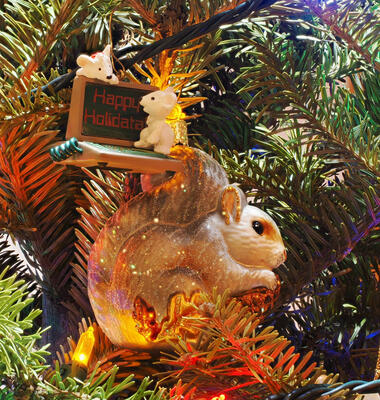 Squirrel and mice with computer ornaments