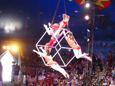 Aerialists #7