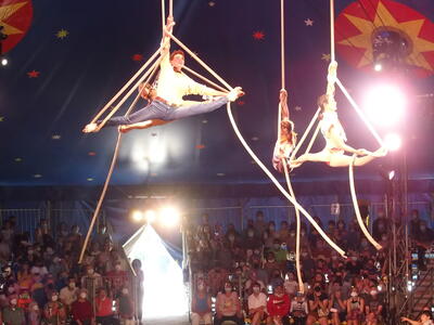 Aerialists #18