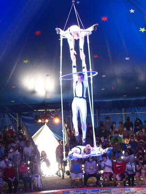 Aerialists #20