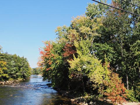 Fall on the Saco river