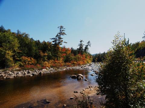 Fall on the Swift river