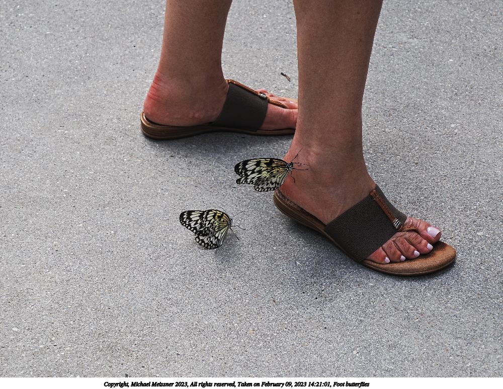Foot butterflies