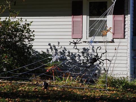 Halloween spiders