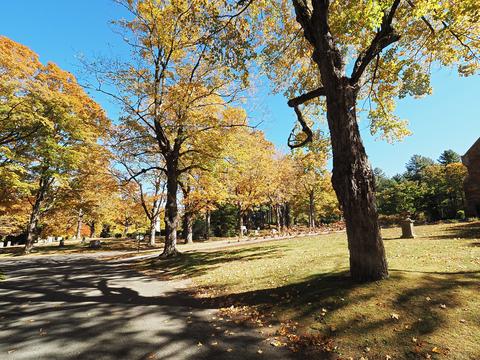 Fall leaves at the West Parish Garden Cemetery #7