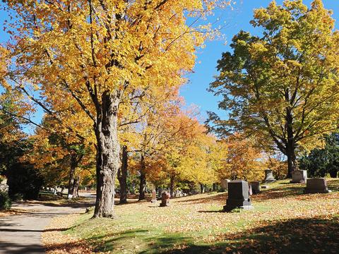 Fall leaves at the West Parish Garden Cemetery #9