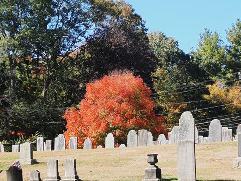 Fall leaves at the West Parish Garden Cemetery #10